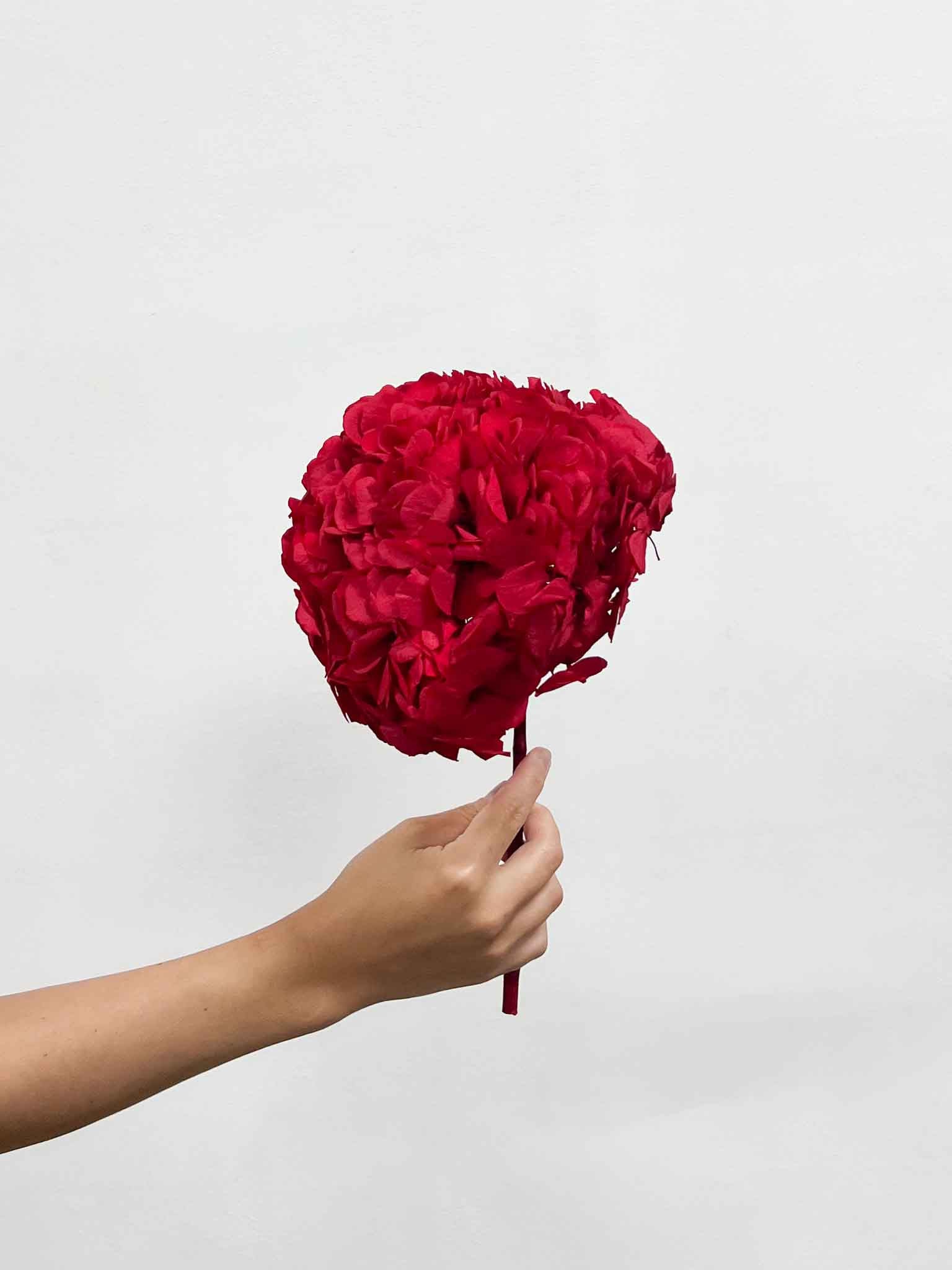 AGOSTINA » Red preserved Hydrangea