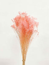 EMMA » Broom Bloom bouquet pastel pink