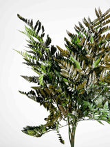 NAUSICA » Felce Cuoio stabilizzata verde