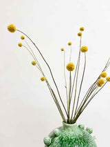 REGINALDO » Glazed ceramic vase with spherical decorations