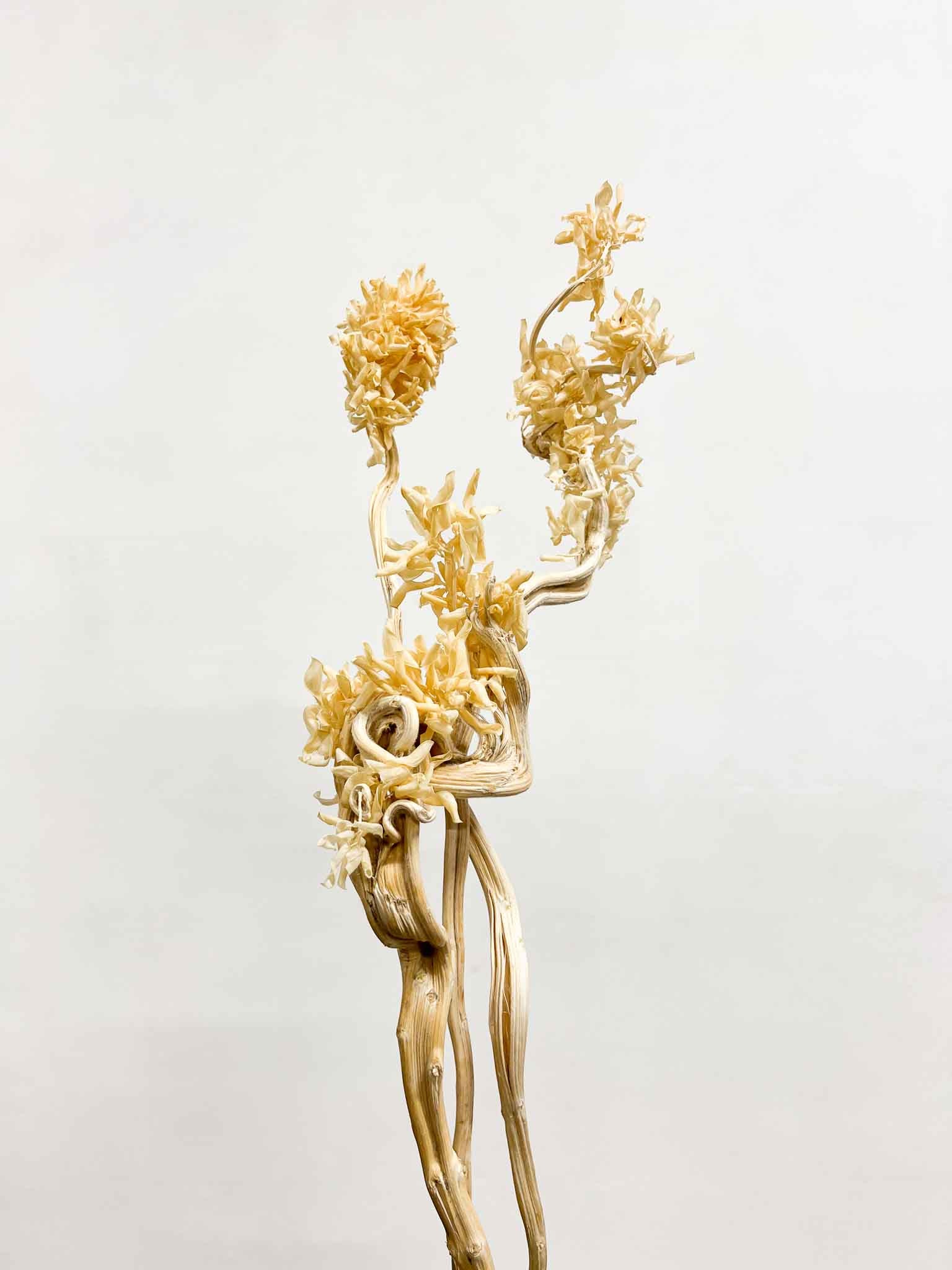 SONIA » 3 rami decorativi naturali con infiorescenze