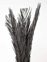 ZENO » Dried black Palm Leaves