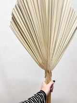 ORFEO » Palma tonda naturale