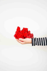 ACHILLE » Muschio nordico stabilizzato rosso 500gr - Bloomoon
