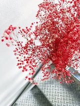 ALMA » Mazzo di Gypsophila stabilizzata rosa scuro - Bloomoon