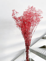 ALMA » Mazzo di Gypsophila stabilizzata rosa scuro - Bloomoon