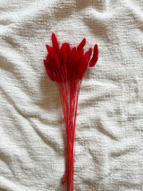 ANNABELLE » Mazzo per bouquet di fiori secchi misti rossi - Bloomoon