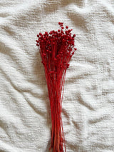 ANNABELLE » Mazzo per bouquet di fiori secchi misti rossi - Bloomoon