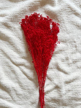 ANNABELLE » Mazzo per bouquet di fiori secchi misti rossi - Bloomoon