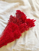 ANNABELLE » Mazzo per bouquet di fiori secchi misti rossi - Bloomoon