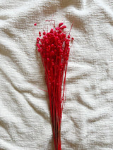 ANNABELLE » Mazzo per bouquet di fiori secchi misti rossi - Bloomoon