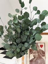 ANTONELLA » Mazzo di Eucalipto Populus stabilizzato verde - Bloomoon
