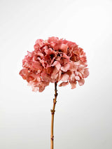 ARMANDA » Ortensia stabilizzata extra rosa antico - Bloomoon