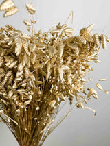 BRIGIDA » Mazzo di Briza Maxima essiccata oro - Bloomoon