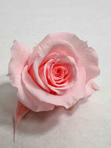 CANDIDA » Box da 12 mini fiori di Rosa rosa chiaro diametro 3cm - Bloomoon