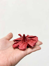 CHERRY » Confezione da 3 Gardenie stabilizzate rosa scuro - Bloomoon