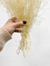 CHIARA » Mazzo di Gypsophila stabilizzata mini bianca - Bloomoon