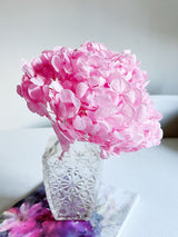 CYNDI » Ortensia stabilizzata premium rosa - Bloomoon