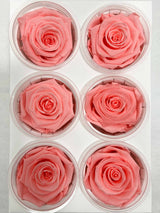 DONNA » Box da 6 fiori di Rosa rosa diametro 6,5cm standard - Bloomoon