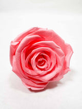 DONNA » Box da 6 fiori di Rosa rosa diametro 6,5cm standard - Bloomoon