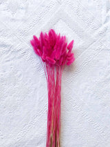EGLE » Mazzo per bouquet di fiori secchi fucsia - Bloomoon