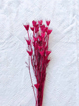 EGLE » Mazzo per bouquet di fiori secchi fucsia - Bloomoon
