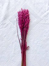 EGLE » Mazzo per bouquet di fiori secchi fucsia - Bloomoon