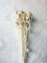 ELISABETTA » Mazzo per bouquet di fiori secchi misti bianchi - Bloomoon