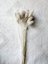 ELISABETTA » Mazzo per bouquet di fiori secchi misti bianchi - Bloomoon