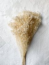 ELISABETTA » Mazzo per bouquet di fiori secchi misti bianchi - Bloomoon