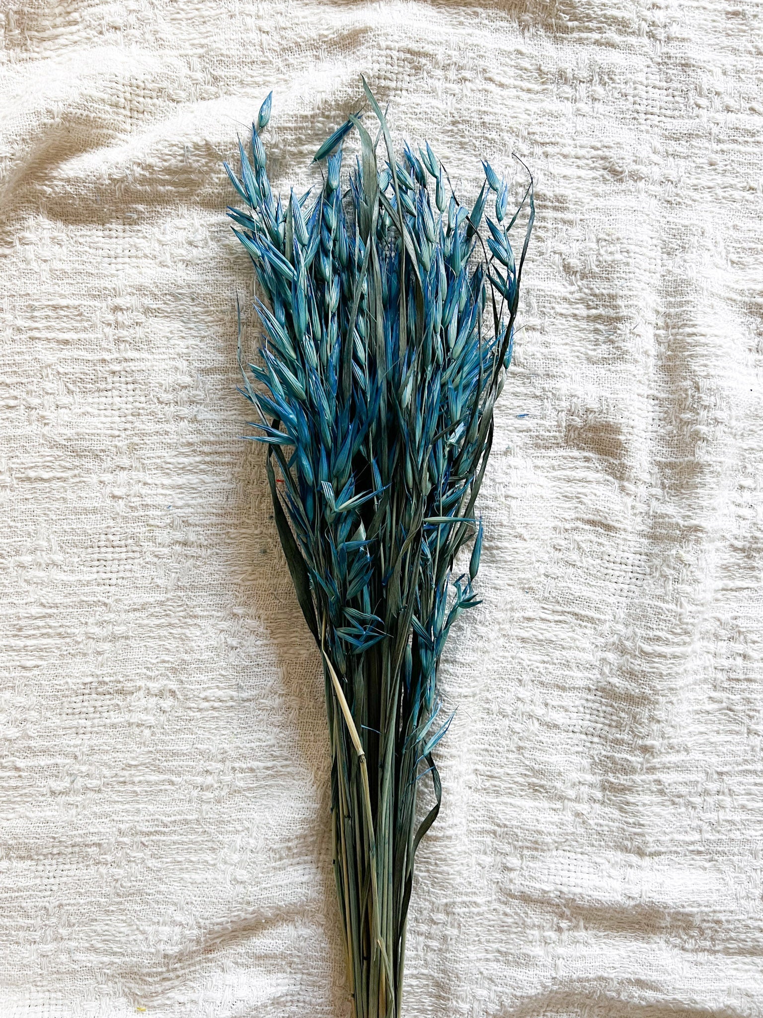 ETTORE » Mazzo per bouquet di fiori secchi carta da zucchero - Bloomoon