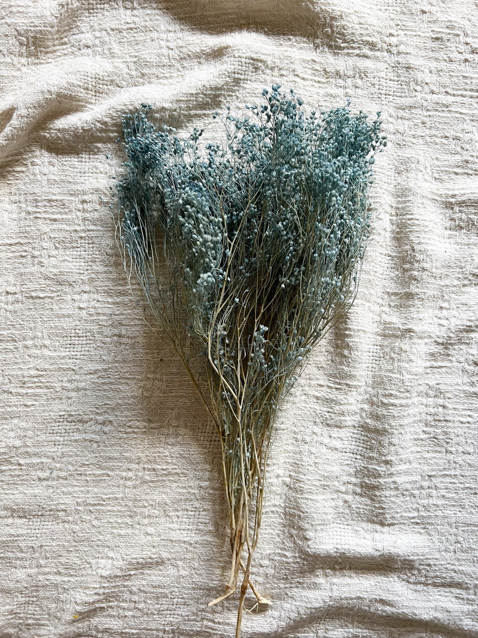 ETTORE » Mazzo per bouquet di fiori secchi carta da zucchero - Bloomoon