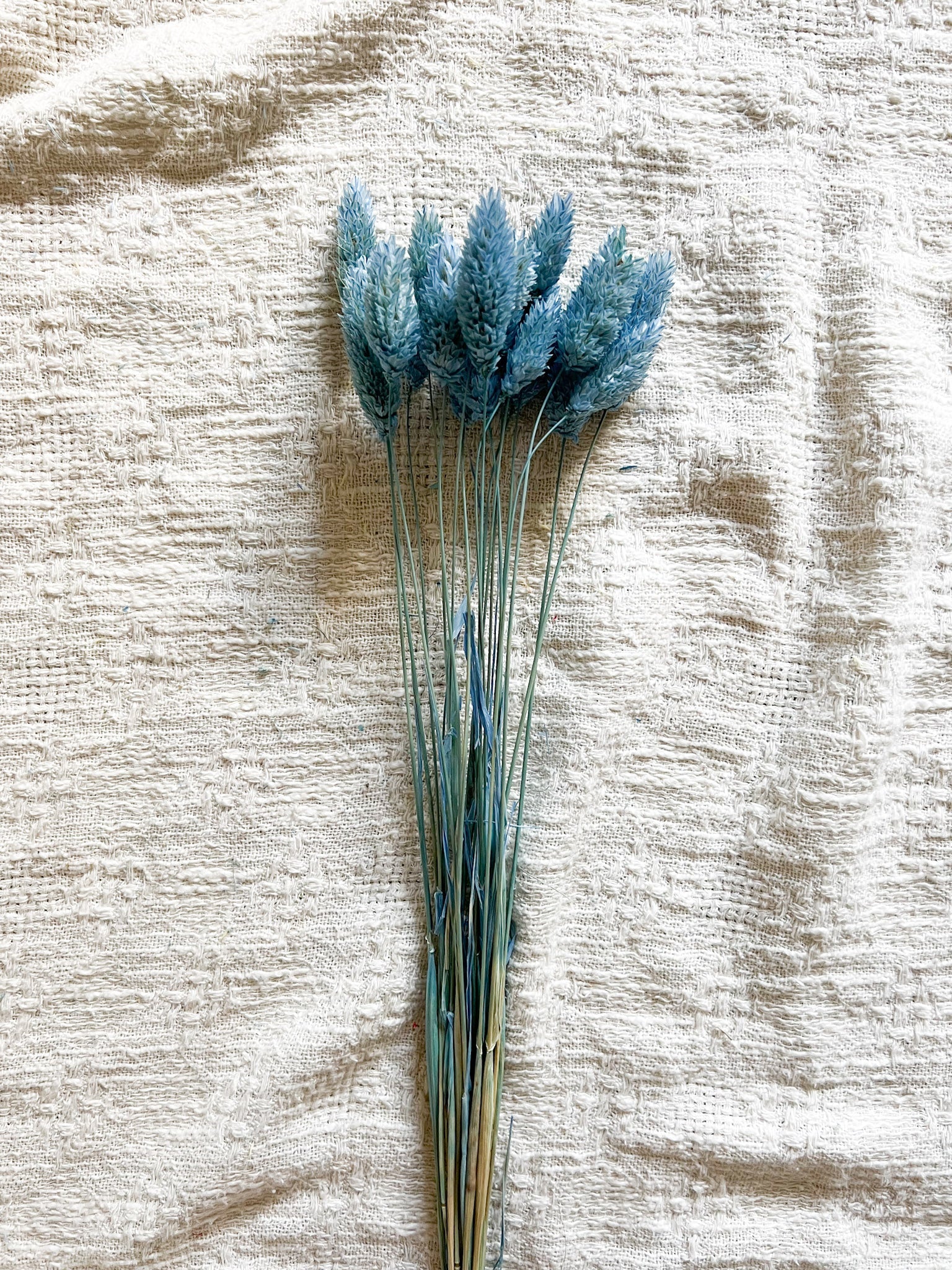 ETTORE » Mazzo per bouquet di fiori secchi carta da zucchero - Bloomoon