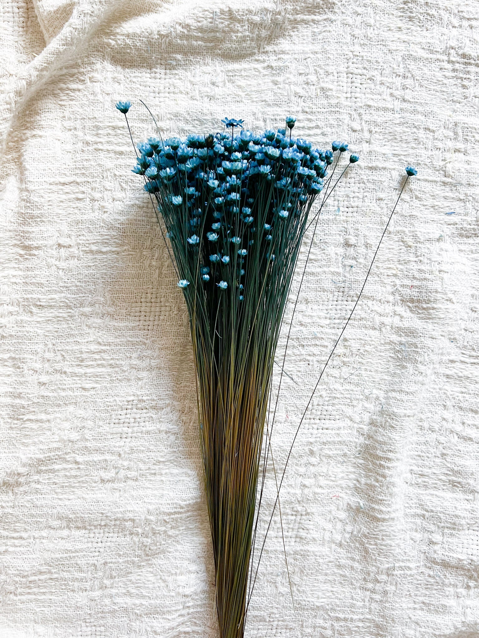 ETTORE » Mazzo per bouquet di fiori secchi carta da zucchero - Bloomoon