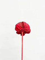 EUFEMIA » Mazzo di 5 Rose ricostruite piccole in fibra di manioca - Bloomoon