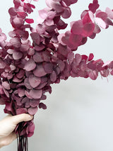 EUGENIA » Mazzo di Eucalipto Stuartiana stabilizzato rosa scuro - Bloomoon