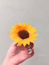 GIORGIA » Fiore del Girasole stabilizzato - Bloomoon