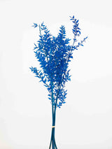 GIULIO » Ruscus stabilizzato azzurro - Bloomoon