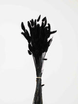 IVO » Mazzo di Lagurus nero - Bloomoon
