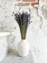 LAURA » Lavanda naturale - Bloomoon
