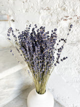 LAURA » Lavanda naturale - Bloomoon