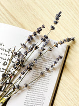 LAURA » Lavanda naturale - Bloomoon