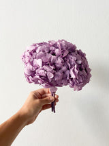 LAVINIA » Ortensia stabilizzata premium lavanda - Bloomoon