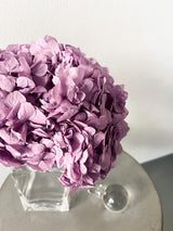 LAVINIA » Ortensia stabilizzata premium lavanda - Bloomoon