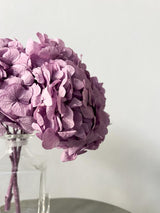 LAVINIA » Ortensia stabilizzata premium lavanda - Bloomoon