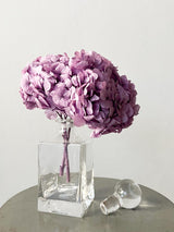 LAVINIA » Ortensia stabilizzata premium lavanda - Bloomoon
