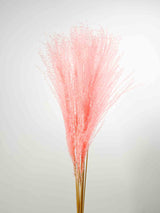 MARINA » Miscanthus rosa essiccato - Bloomoon