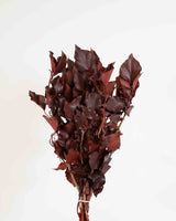 MARISA » Mazzo di Edera stabilizzata rossa - Bloomoon