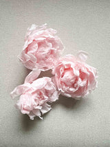 MATILDE » Confezione da 3 Peonie stabilizzate rosa - Bloomoon