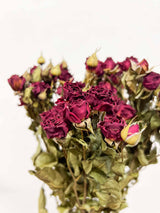 MAURA » Mazzo di Rose spray naturale rosse essiccate - Bloomoon